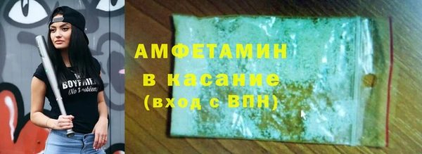 прущие грибы Верея