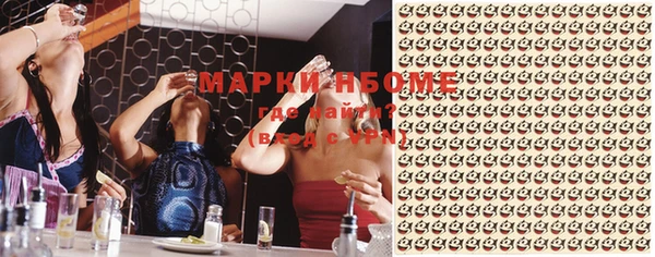 прущие грибы Верея