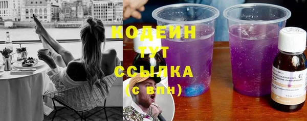 прущие грибы Верея