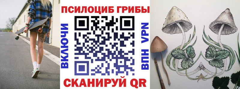 наркотики Зерноград Псилоцибиновые грибы ЛСД